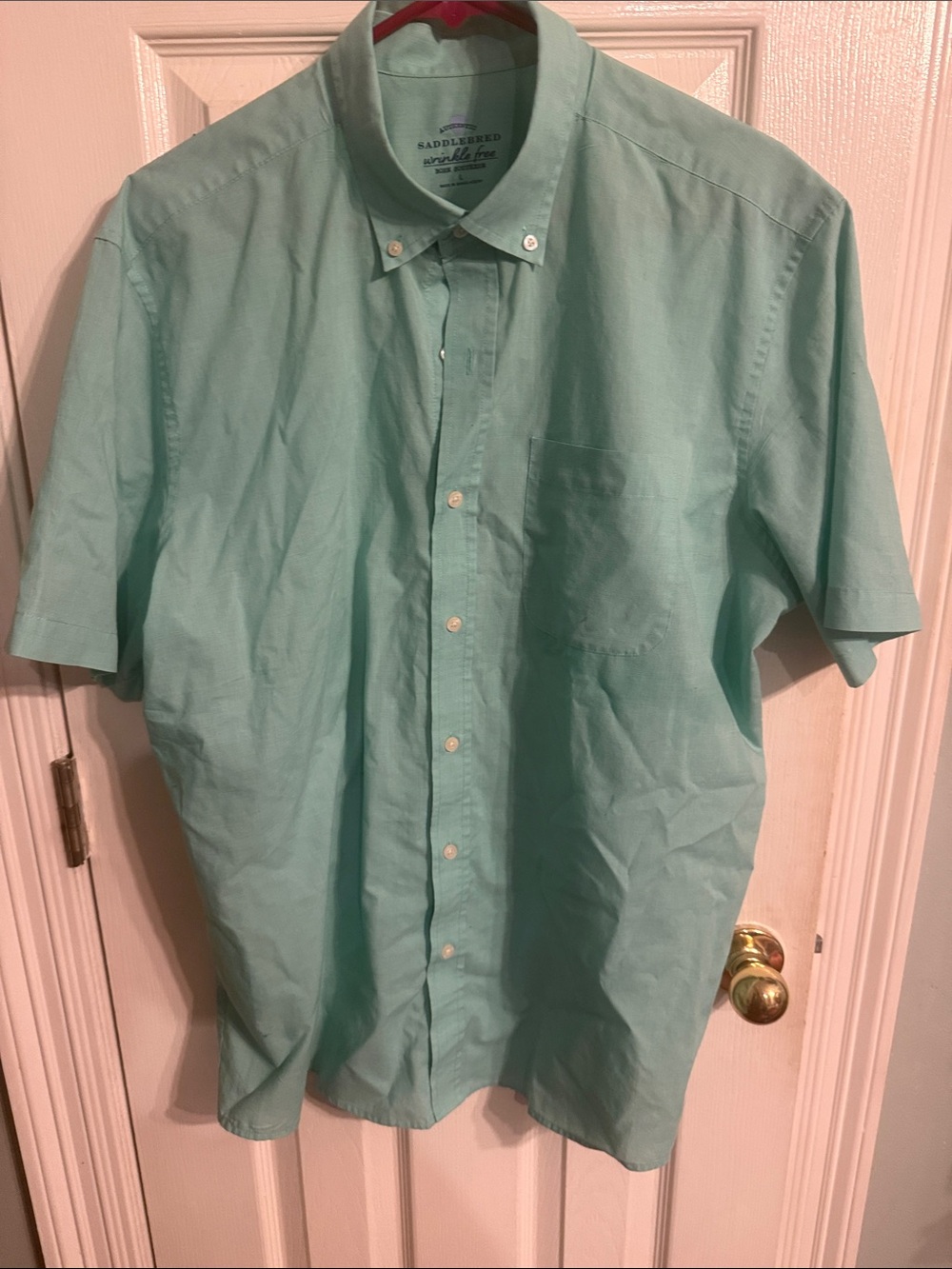 Saddlebred Short-Sleeve Button-Down Shirt - Light Mint